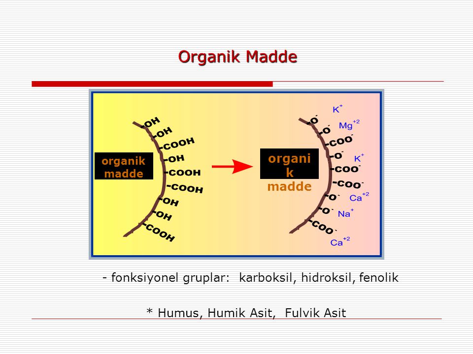 Organik Madde - fonksiyonel gruplar: karboksil, hidroksil, fenolik