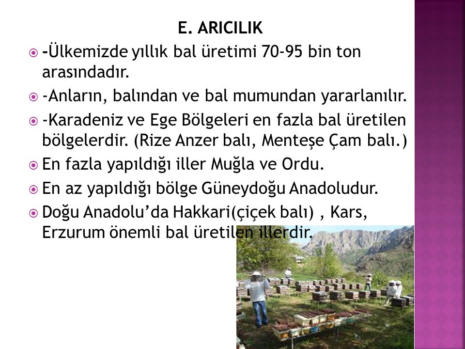E. ARICILIK -Ülkemizde yıllık bal üretimi bin ton arasındadır. -Anların, balından ve bal mumundan yararlanılır.