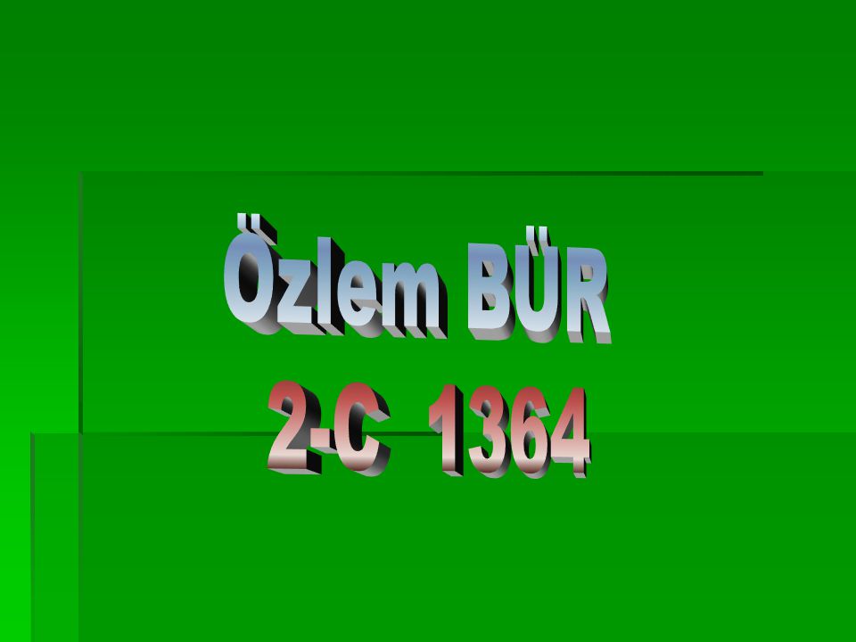 Özlem BÜR 2-C 1364