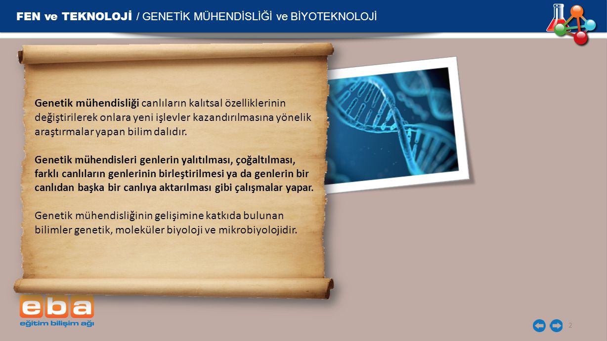 FEN ve TEKNOLOJİ / GENETİK MÜHENDİSLİĞİ ve BİYOTEKNOLOJİ