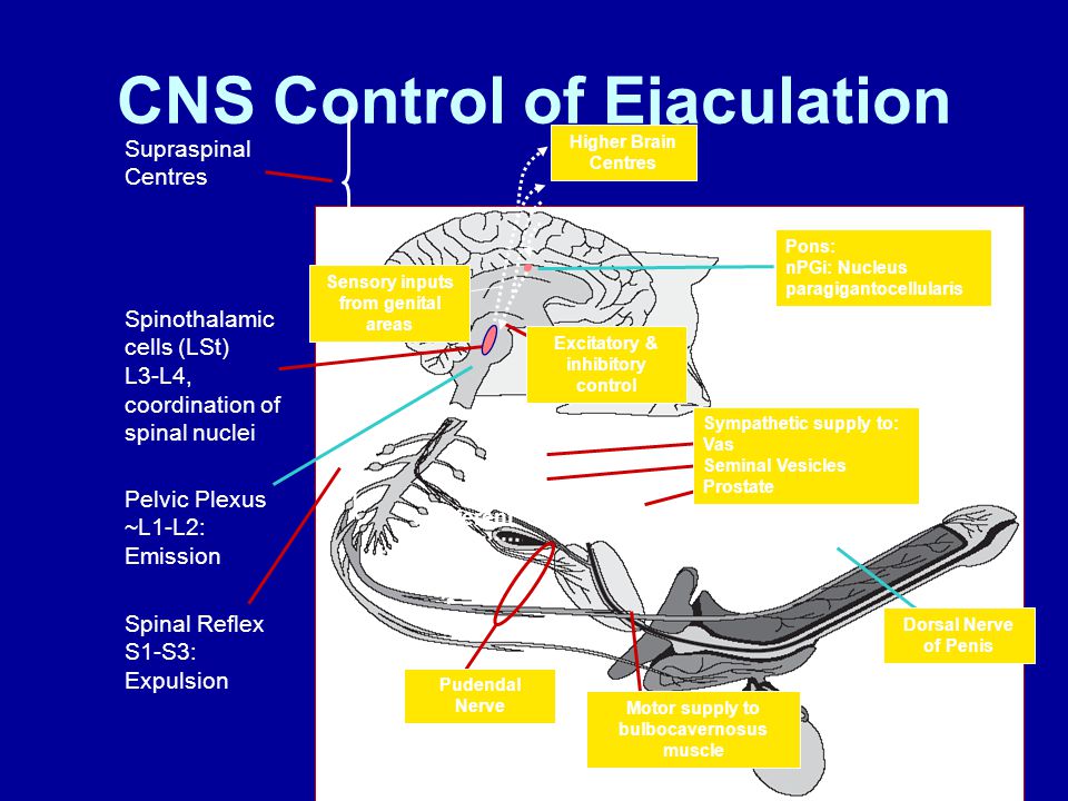 Crazy Ejaculation