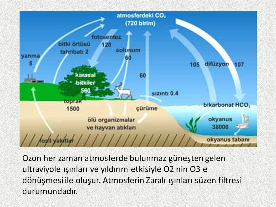 Ozon her zaman atmosferde bulunmaz güneşten gelen ultraviyole ışınları ve yıldırım etkisiyle O2 nin O3 e dönüşmesi ile oluşur.