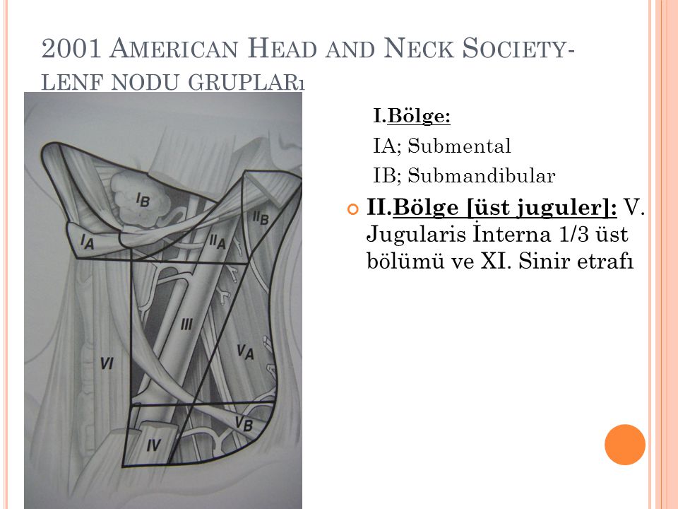 2001 American Head and Neck Society-lenf nodu grupları