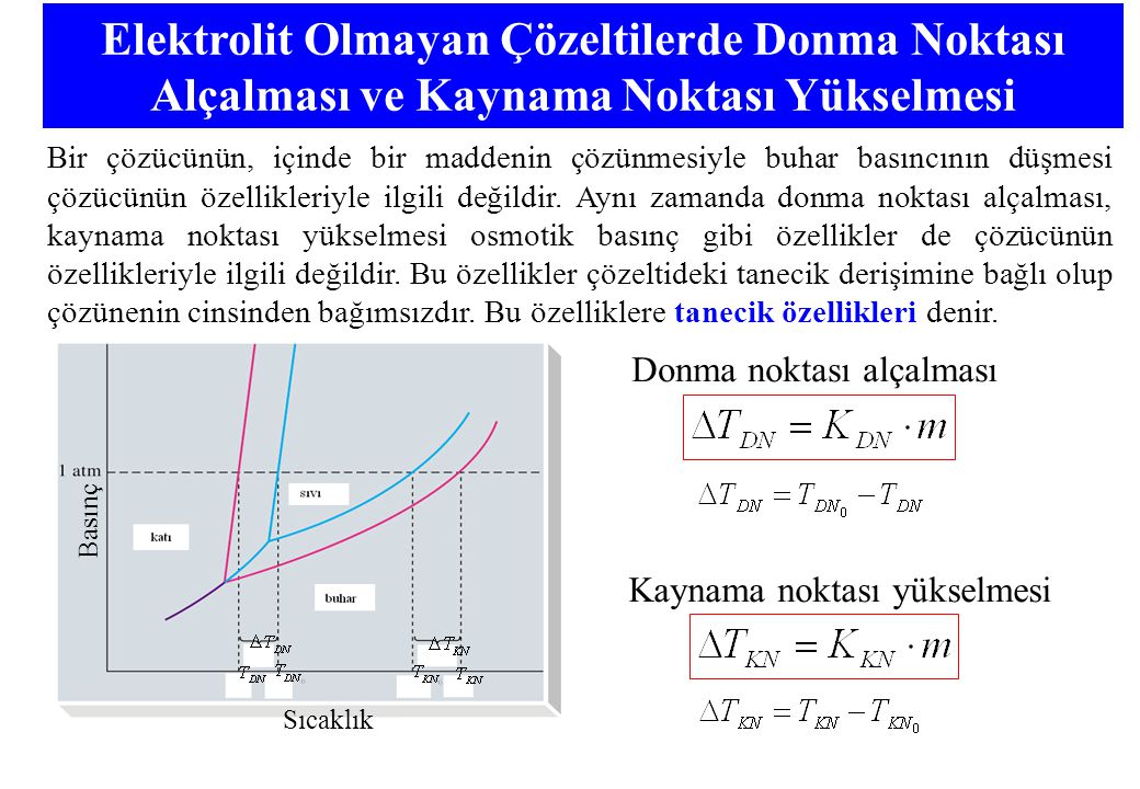 Xnnn Donmadan