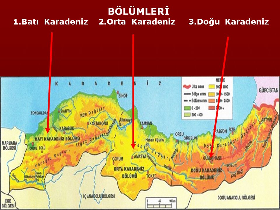 1.Batı Karadeniz 2.Orta Karadeniz 3.Doğu Karadeniz