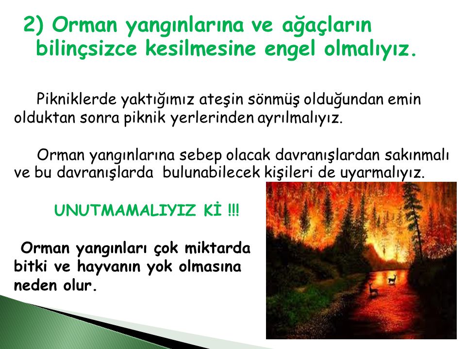 2) Orman yangınlarına ve ağaçların bilinçsizce kesilmesine engel olmalıyız.