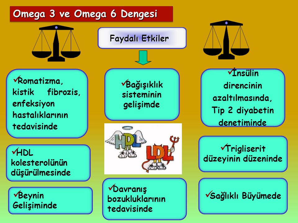 Omega 3 ve Omega 6 Dengesi Faydalı Etkiler