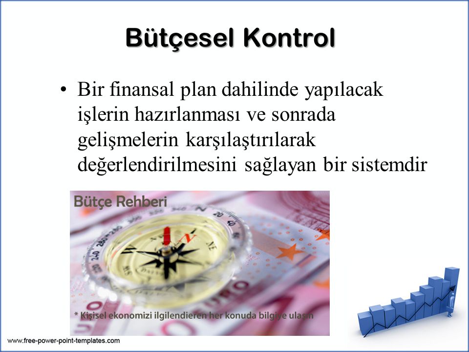 Bütçesel Kontrol