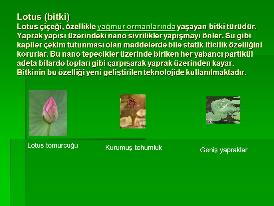 Lotus (bitki) Lotus çiçeği, özellikle yağmur ormanlarında yaşayan bitki türüdür. Yaprak yapısı üzerindeki nano sivrilikler yapışmayı önler. Su gibi kapiler çekim tutunması olan maddelerde bile statik iticilik özelliğini korurlar. Bu nano tepecikler üzerinde biriken her yabancı partikül adeta bilardo topları gibi çarpışarak yaprak üzerinden kayar. Bitkinin bu özelliği yeni geliştirilen teknolojide kullanılmaktadır.