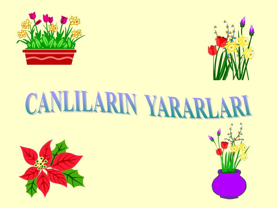 CANLILARIN YARARLARI
