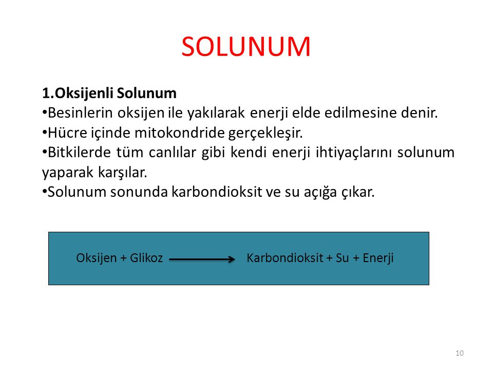 SOLUNUM 1.Oksijenli Solunum
