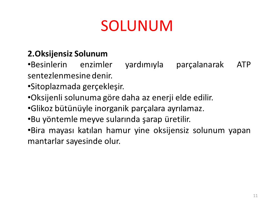 SOLUNUM 2.Oksijensiz Solunum