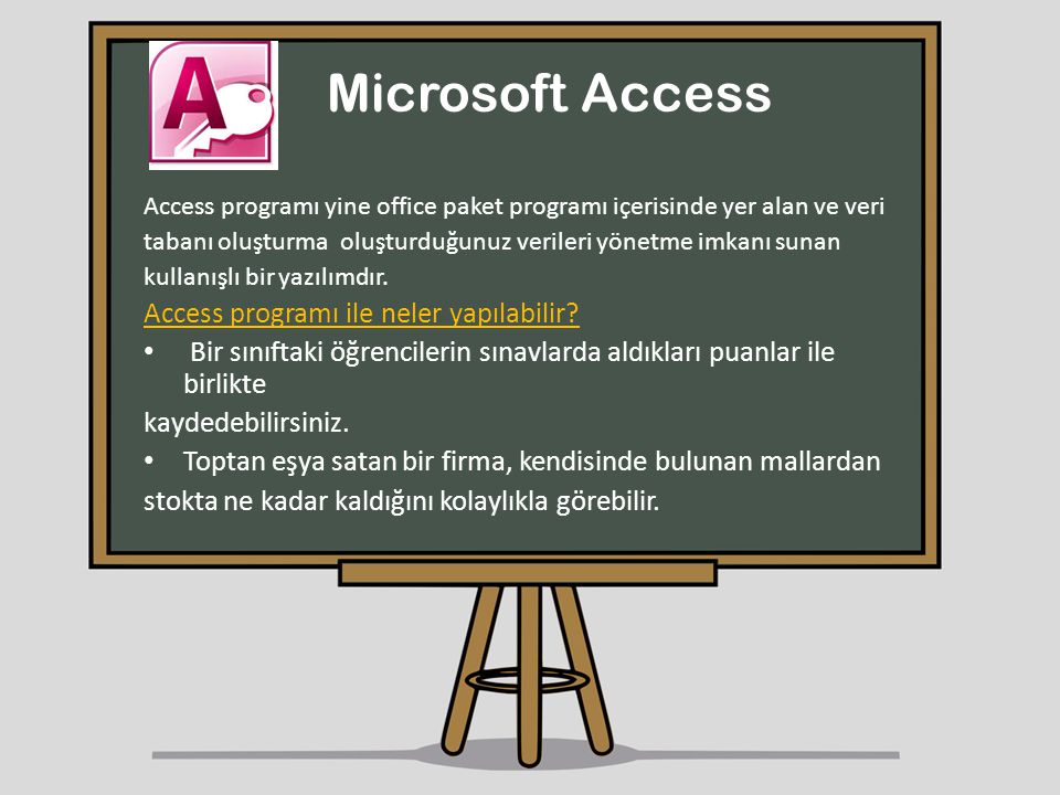 Microsoft Access Access programı ile neler yapılabilir