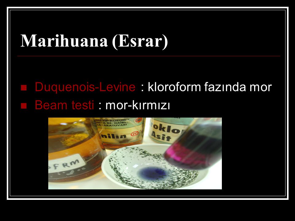 Marihuana (Esrar) Duquenois-Levine : kloroform fazında mor