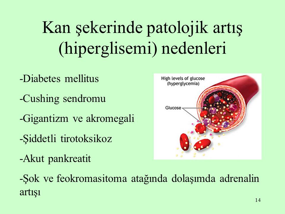 Kan şekerinde patolojik artış (hiperglisemi) nedenleri