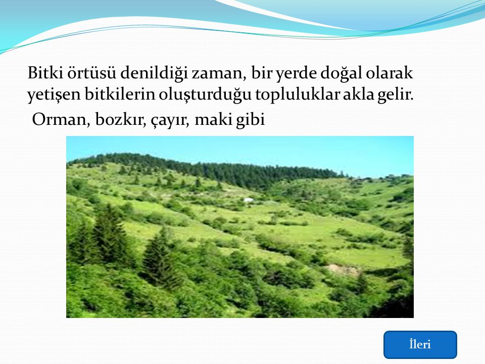 turkiye nin bitki ortusu ppt video online indir