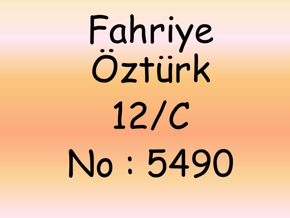 Fahriye Öztürk 12/C No : 5490
