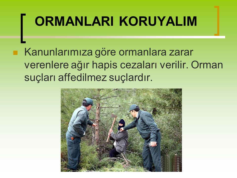 ORMANLARI KORUYALIM Kanunlarımıza göre ormanlara zarar verenlere ağır hapis cezaları verilir.