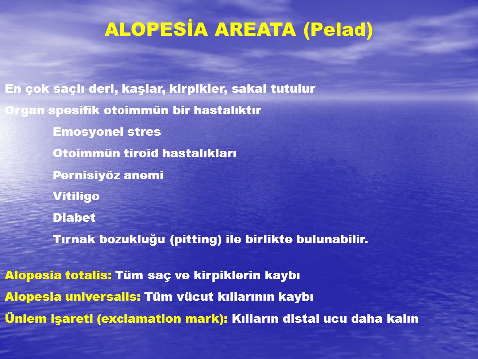 ALOPESİA AREATA (Pelad)