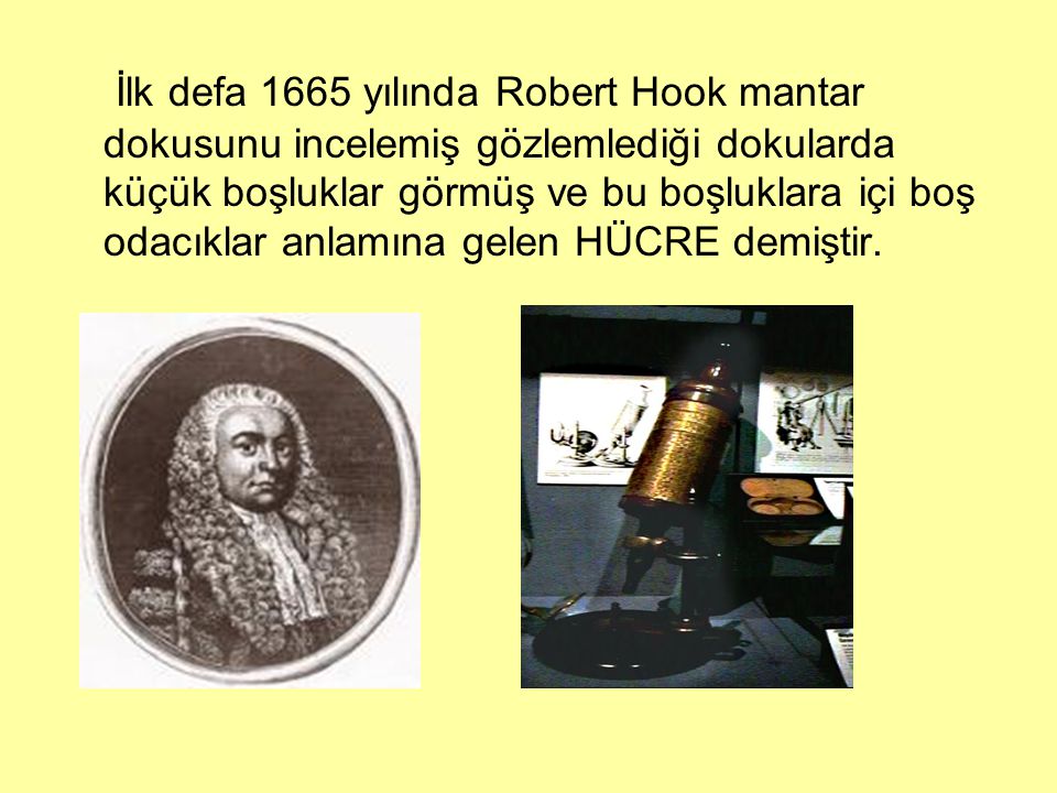 İlk defa 1665 yılında Robert Hook mantar dokusunu incelemiş gözlemlediği dokularda küçük boşluklar görmüş ve bu boşluklara içi boş odacıklar anlamına gelen HÜCRE demiştir.