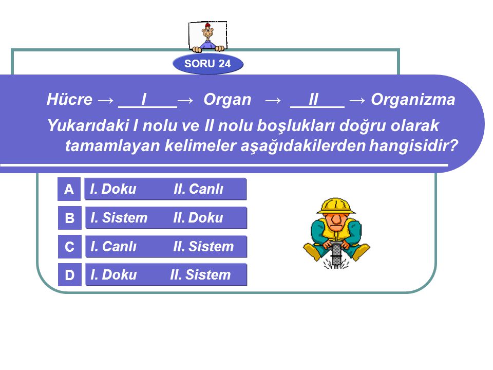 Hücre → I → Organ → II → Organizma
