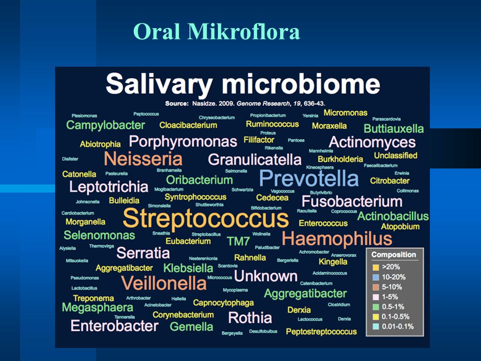 Oral Mikroflora