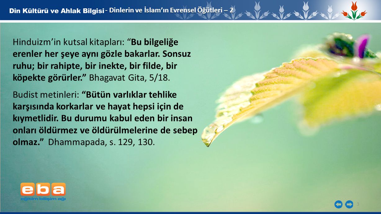 - Dinlerin ve İslam’ın Evrensel Öğütleri – 2
