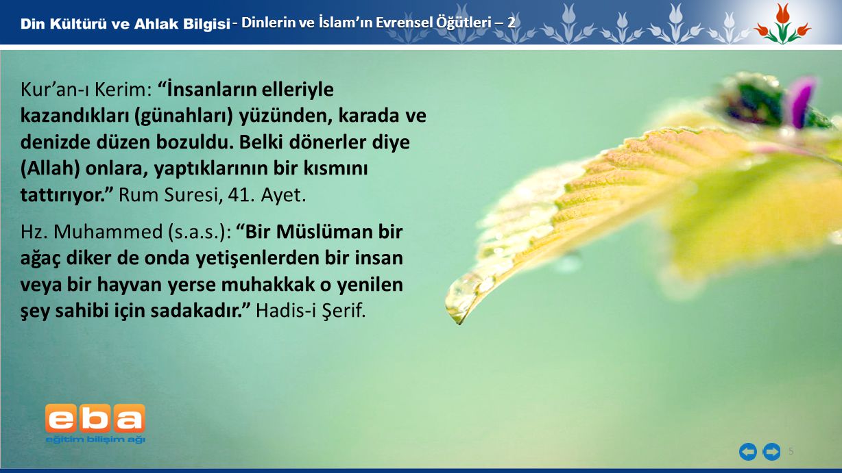 - Dinlerin ve İslam’ın Evrensel Öğütleri – 2