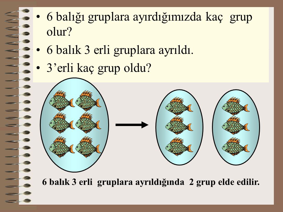 6 balık 3 erli gruplara ayrıldığında 2 grup elde edilir.