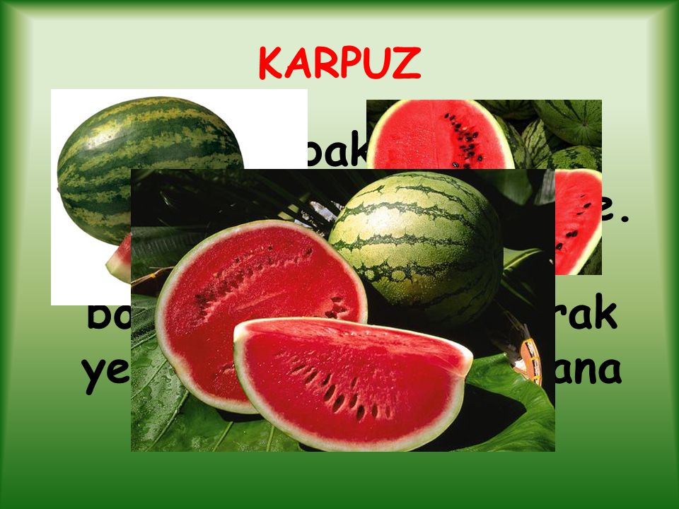KARPUZ Kabakgiller familyasından sulu meyve.