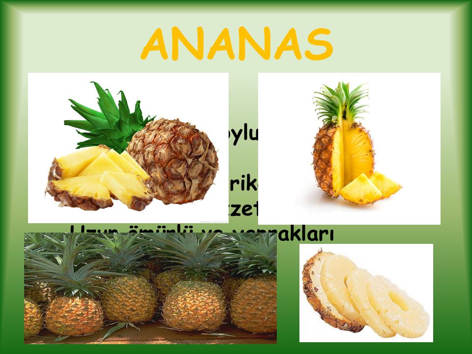 ANANAS Ananas, kısa boylu bir tarım bitkisidir.