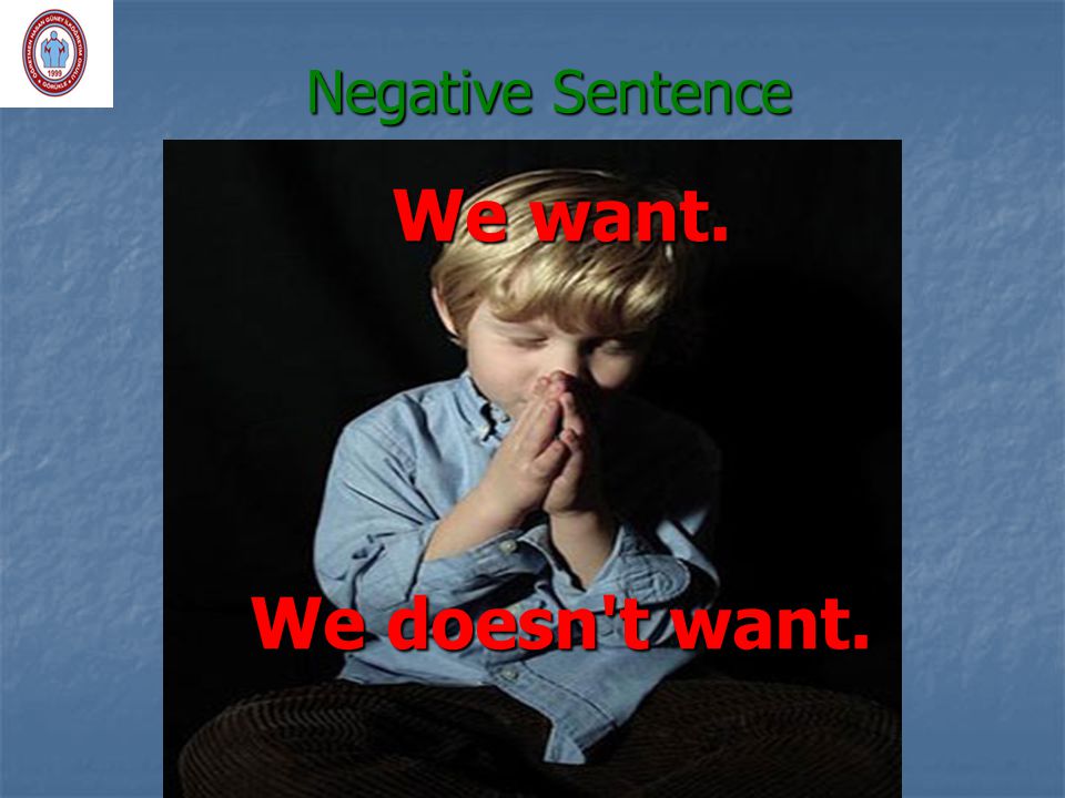 Negative Sentence We want. We doesn t want.