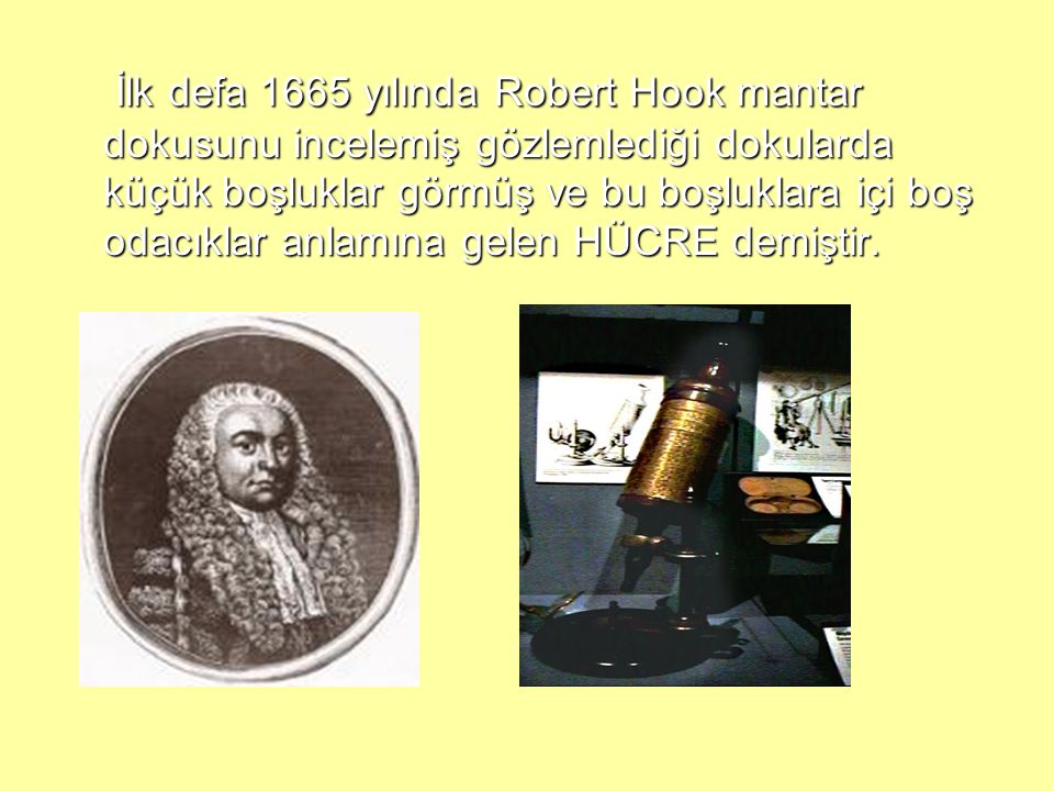 İlk defa 1665 yılında Robert Hook mantar dokusunu incelemiş gözlemlediği dokularda küçük boşluklar görmüş ve bu boşluklara içi boş odacıklar anlamına gelen HÜCRE demiştir.