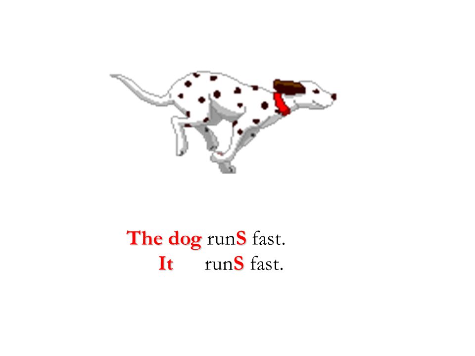 The dog runS fast. It runS fast.