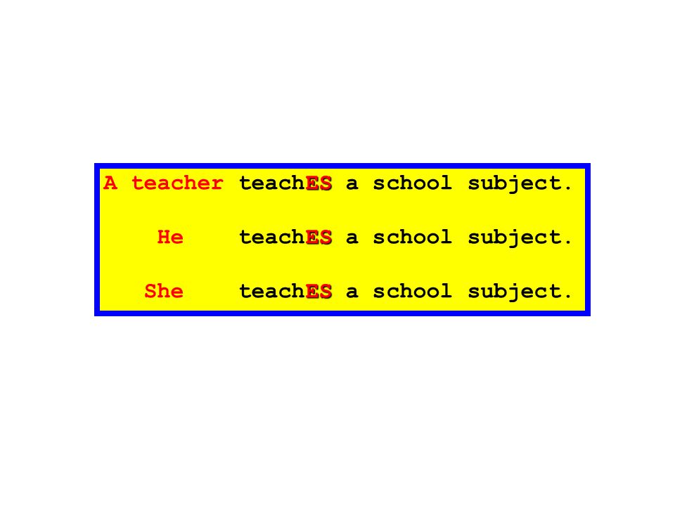 A teacher teachES a school subject.