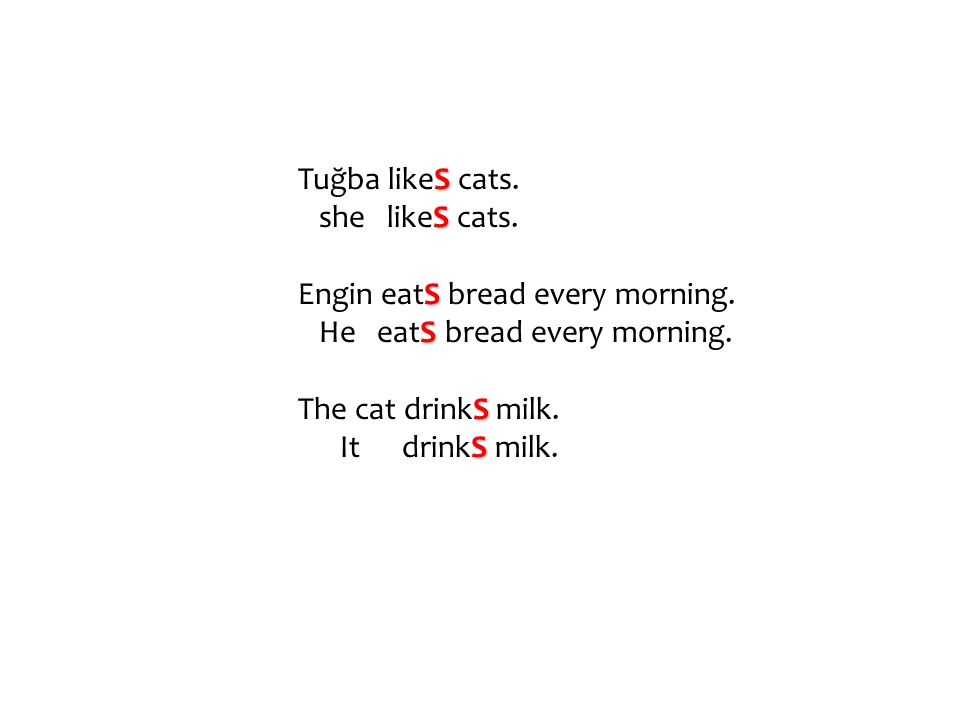 Tuğba likeS cats. she likeS cats. Engin eatS bread every morning. He eatS bread every morning.