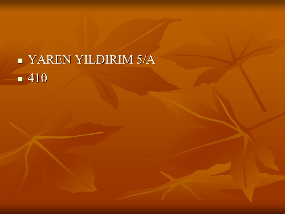 YAREN YILDIRIM 5/A 410