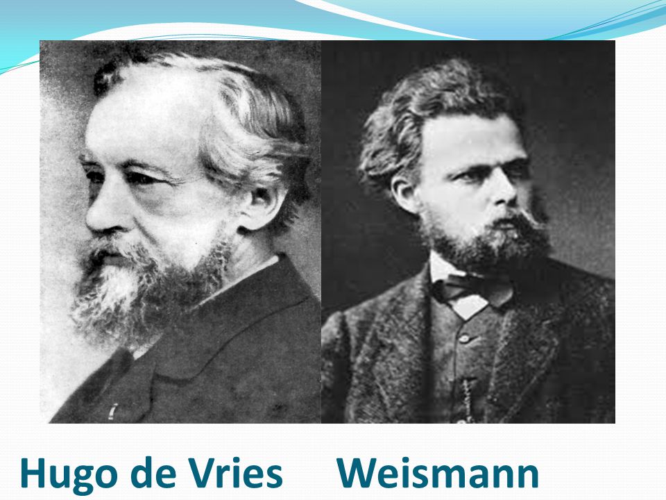 Hugo de Vries Weismann