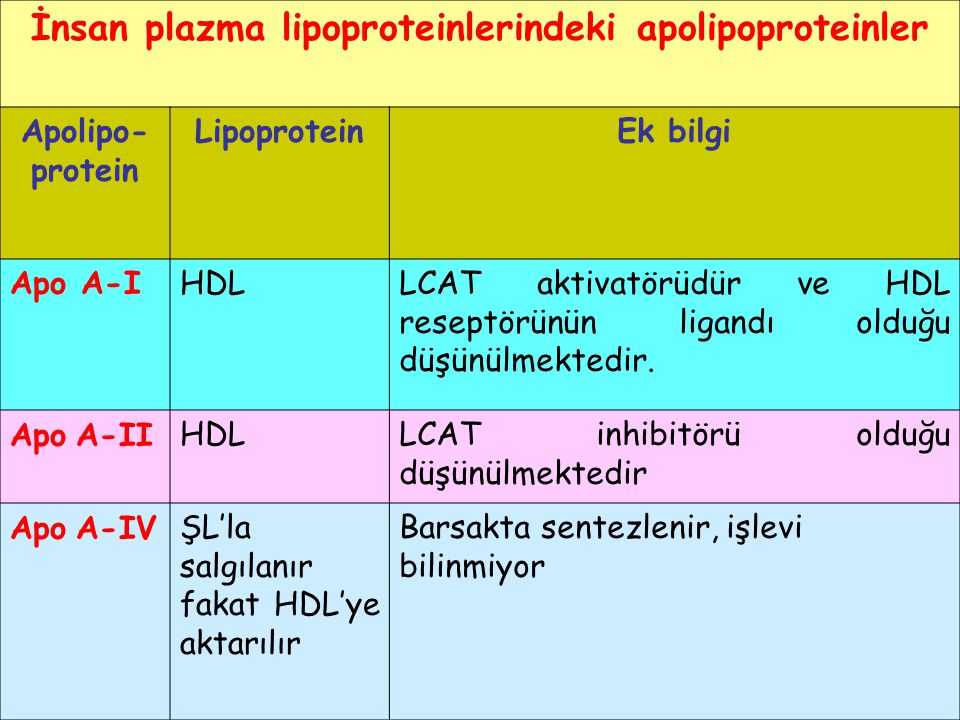 İnsan plazma lipoproteinlerindeki apolipoproteinler