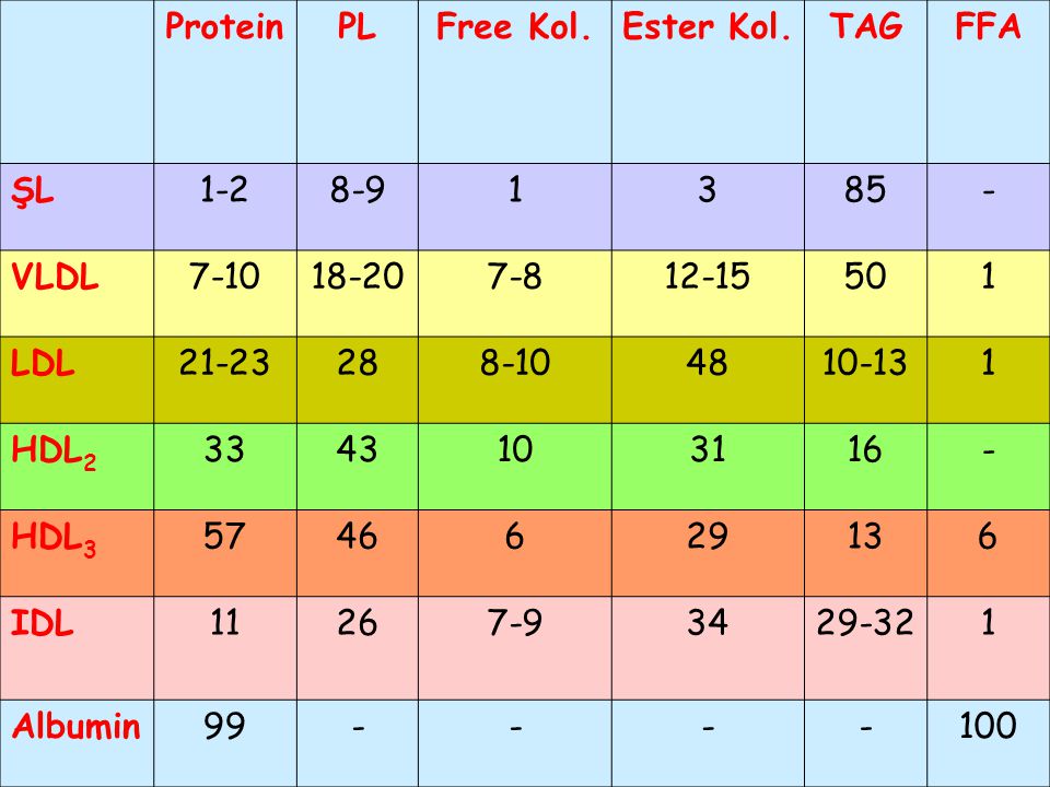 Protein PL. Free Kol. Ester Kol. TAG. FFA. ŞL VLDL
