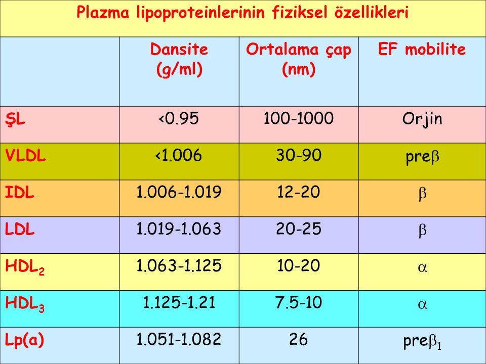 Plazma lipoproteinlerinin fiziksel özellikleri