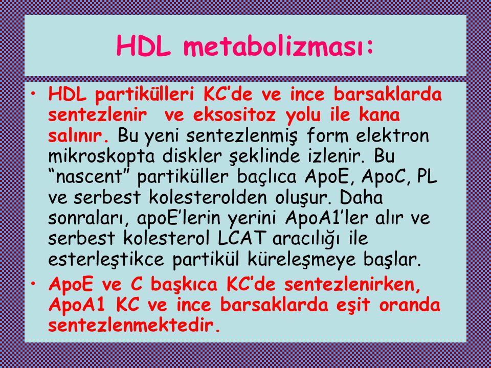 HDL metabolizması:
