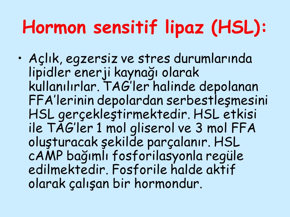 Hormon sensitif lipaz (HSL):