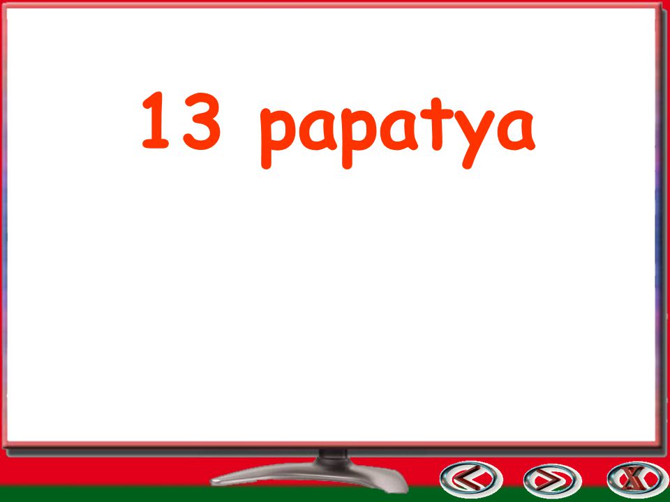 13 papatya