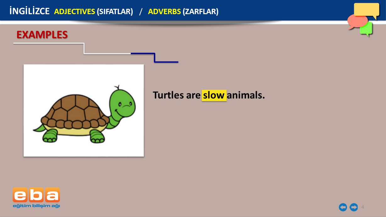 EXAMPLES Turtles are slow animals.