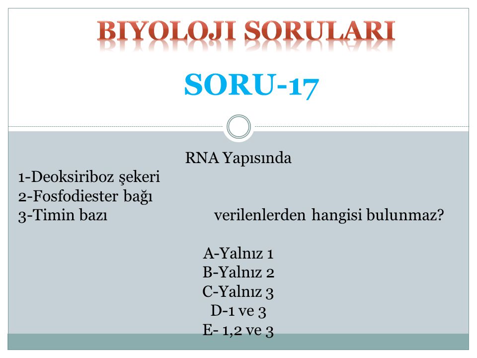 SORU-17 biyoloji SORULARI RNA Yapısında 1-Deoksiriboz şekeri