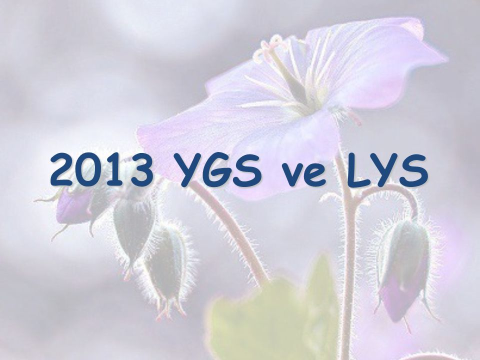 2013 YGS ve LYS 17