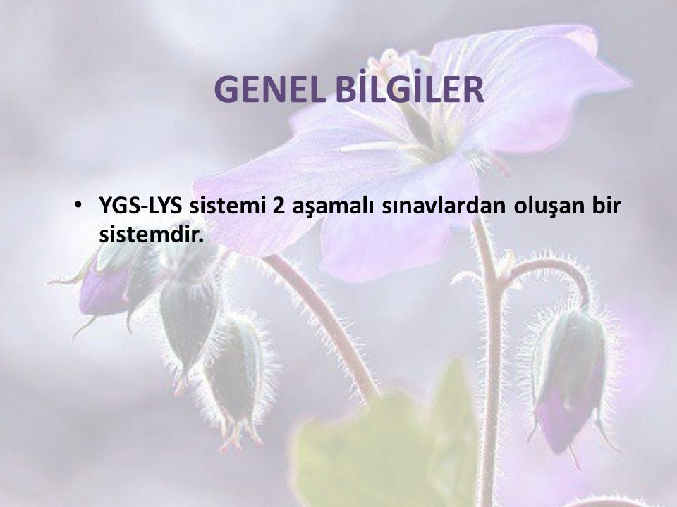 GENEL BİLGİLER YGS-LYS sistemi 2 aşamalı sınavlardan oluşan bir sistemdir. 18