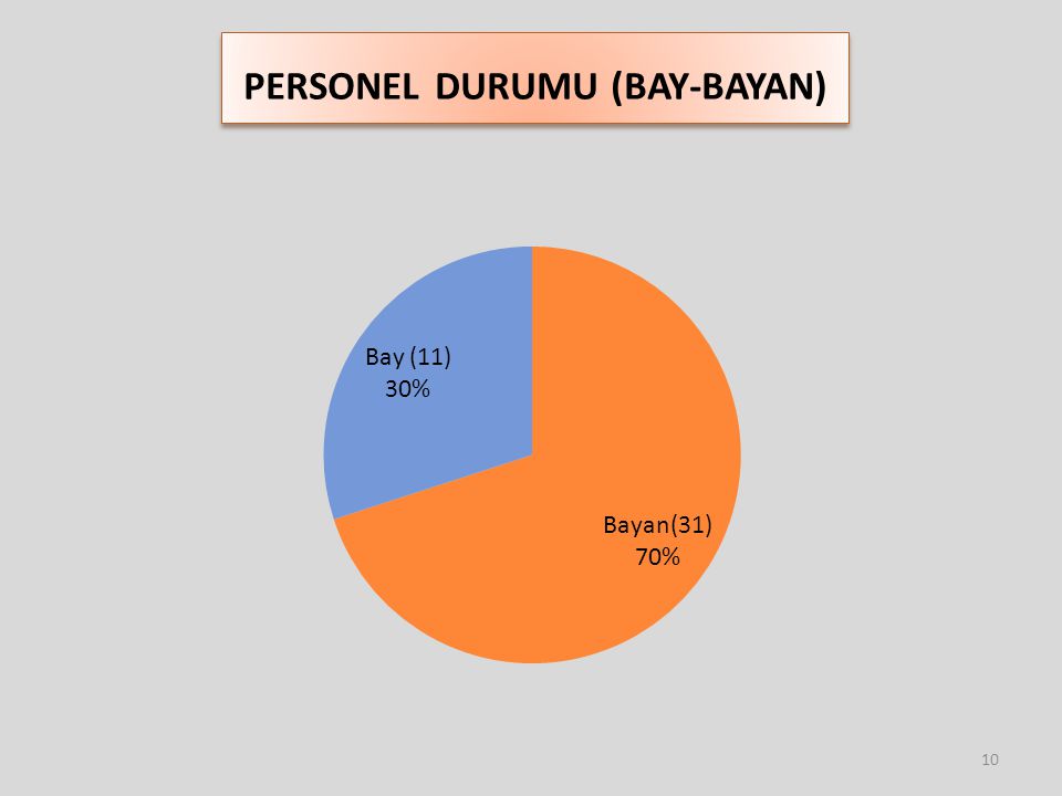 PERSONEL DURUMU (BAY-BAYAN)