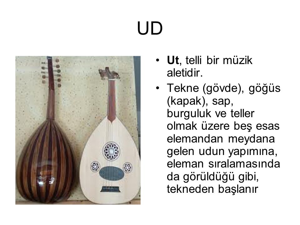 UD Ut, telli bir müzik aletidir.